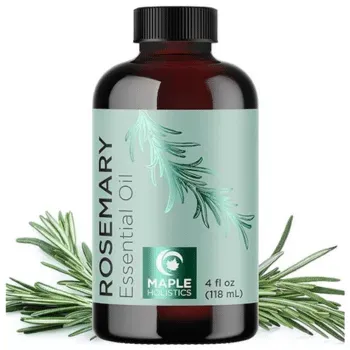 Maple Holistics Pure Rosemary Essential Oil with Dropper